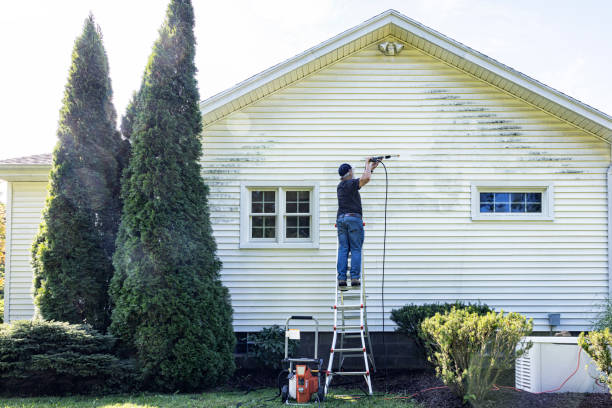 Best Gutter Cleaning  in Jasper, TX